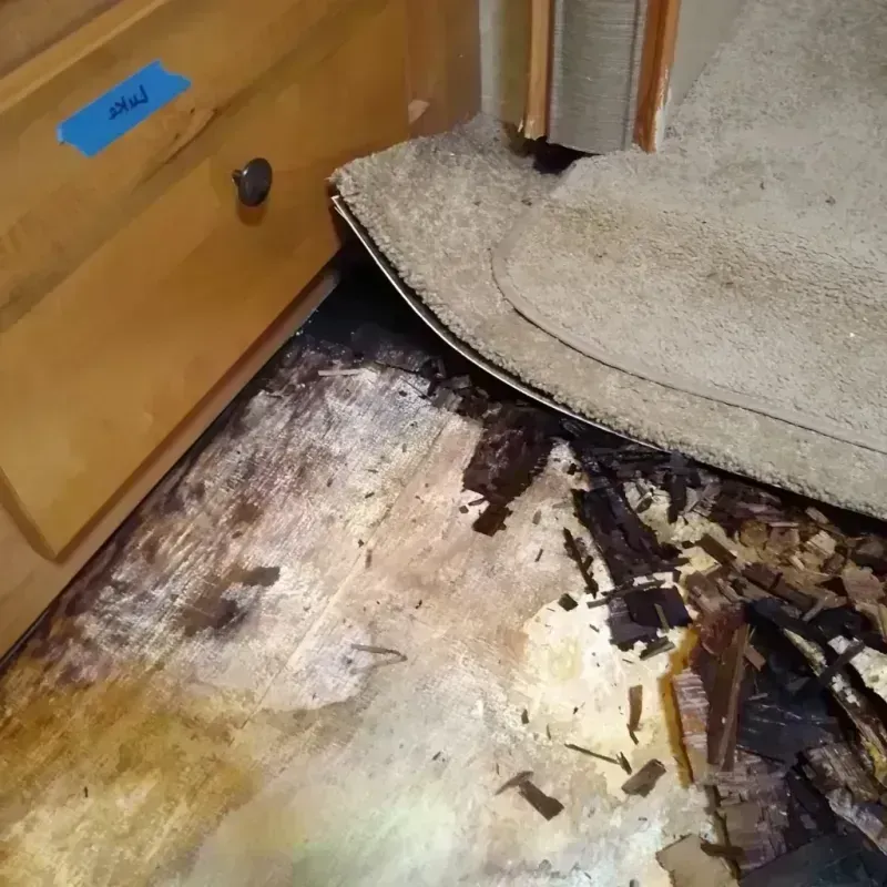 Wood Floor Water Damage in Hamburg, IA